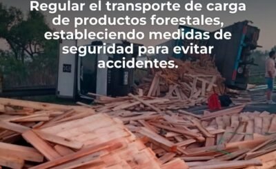 Transporte de carga de productos de madera