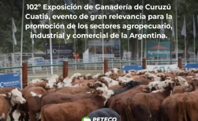 Declara de interés la “102° Exposición Feria Nacional de Ganadería de Curuzú Cuatiá