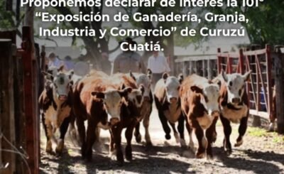 Declara de interés la Expo de Curuzú Cuatiá