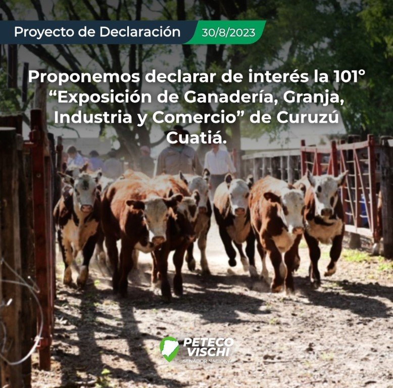 Declara de interés la Expo de Curuzú Cuatiá