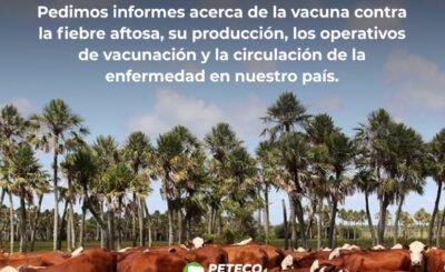 Solicita informes sobre el costo de la vacuna antiaftosa