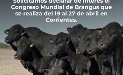 Declara de interés el Congreso Mundial Brangus en Corrientes