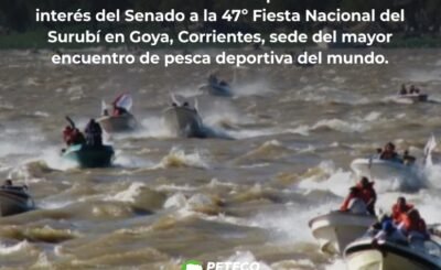 Declara de interés la 47° Fiesta Nacional del Surubí