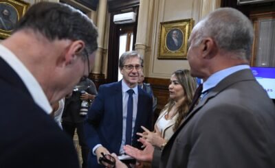 “Para el kirchnerismo, las instituciones sólo son buenas si están de acuerdo con lo que ellos piensan”
