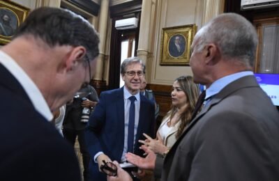 “Para el kirchnerismo, las instituciones sólo son buenas si están de acuerdo con lo que ellos piensan”