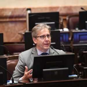 EMERGENCIA EN DISCAPACIDAD Y DECRETOS PRESIDENCIALES “La democracia merece discusión adulta y consenso”