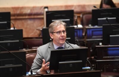 EMERGENCIA EN DISCAPACIDAD Y DECRETOS PRESIDENCIALES “La democracia merece discusión adulta y consenso”