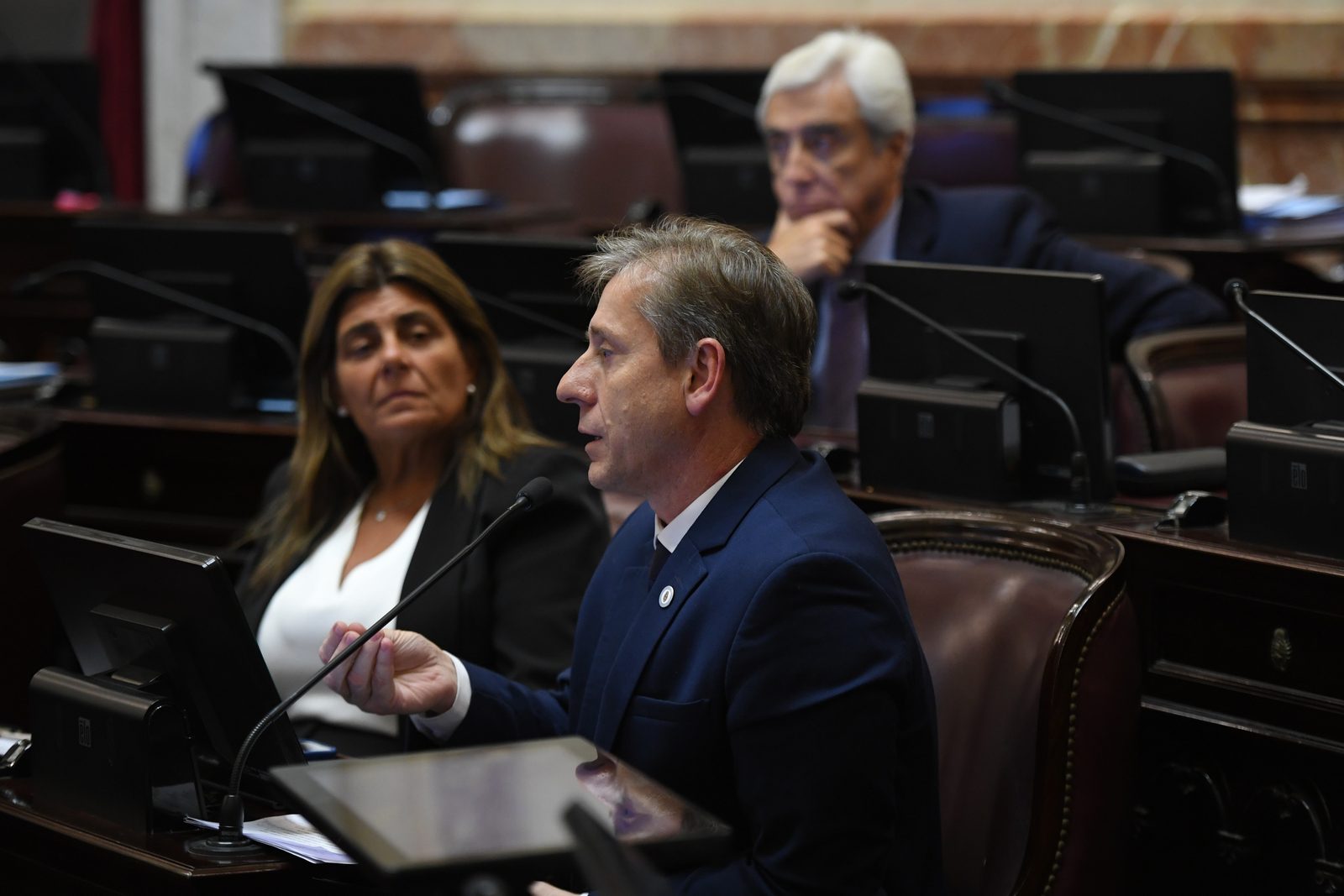 Eduardo Vischi en la sesión del Senado sobre Modernización Laboral